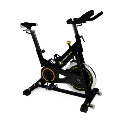 Darwin Indoor Bike Evo 30