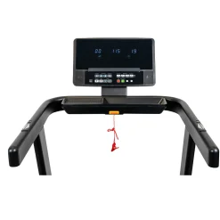 Darwin Laufband TM40