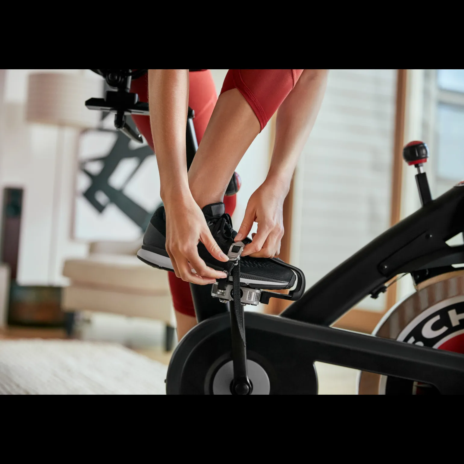 Schwinn Speedbike 700IC