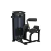 Taurus Back Extension IT95