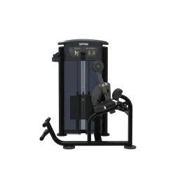 Taurus Back Extension IT95