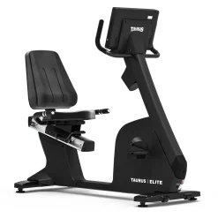 Taurus Elite Recumbent Bike