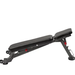 Taurus Hantelbank B450