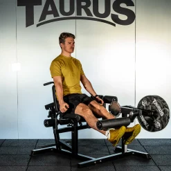 Taurus 4-in-1 Multitrainer