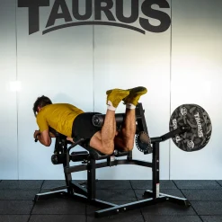 Taurus 4-in-1 Multitrainer