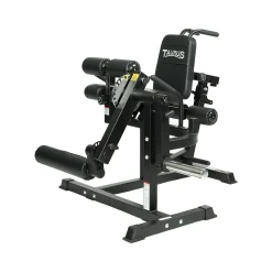 Taurus 4-in-1 Multitrainer