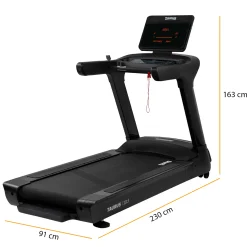 Taurus Laufband T10.5 Pro