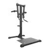 Taurus Seithebemaschine IFP | Standing Lateral Raise