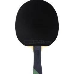 Tibhar Tischtennischläger Master Alexis Lebrun