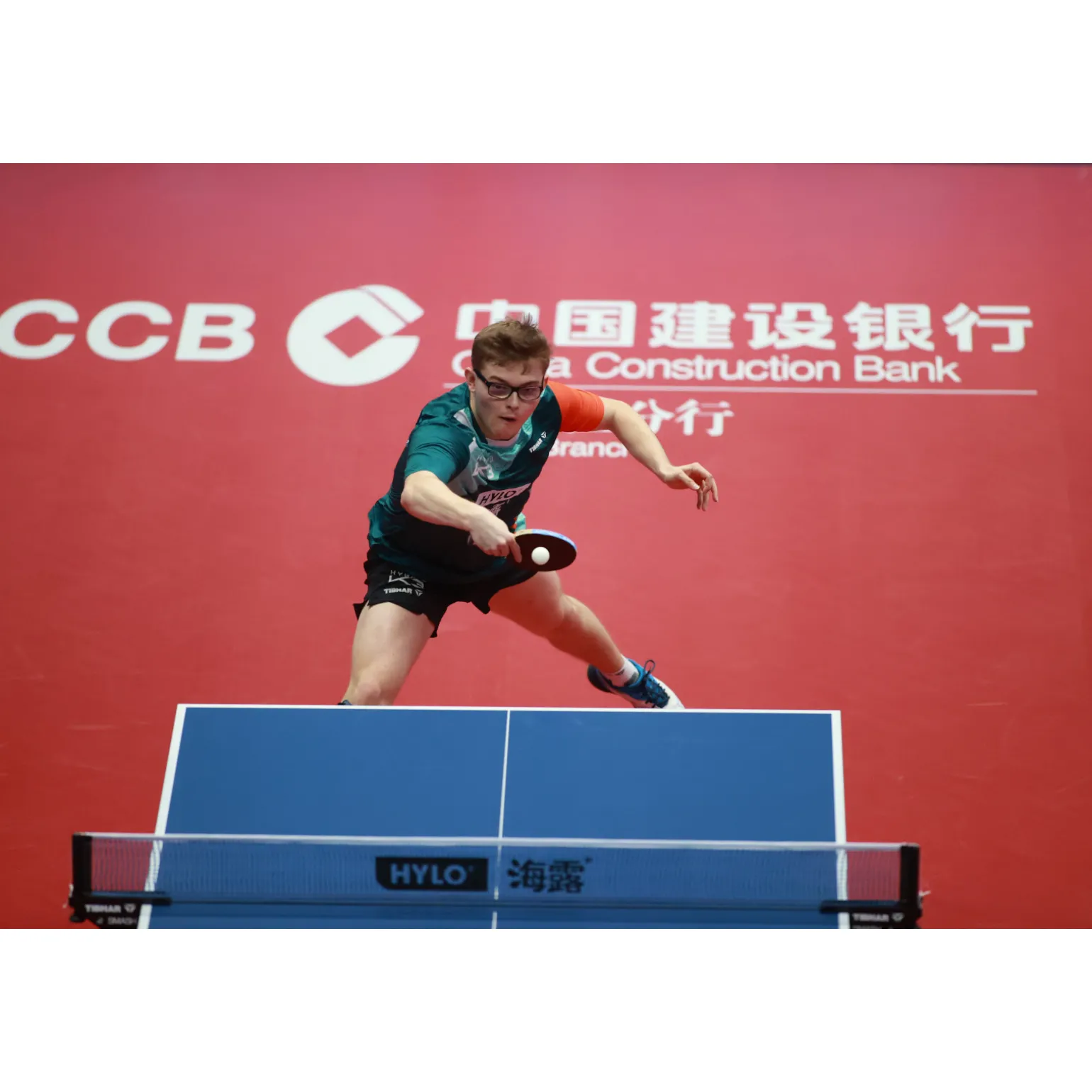 Tibhar Tischtennischläger Master Alexis Lebrun