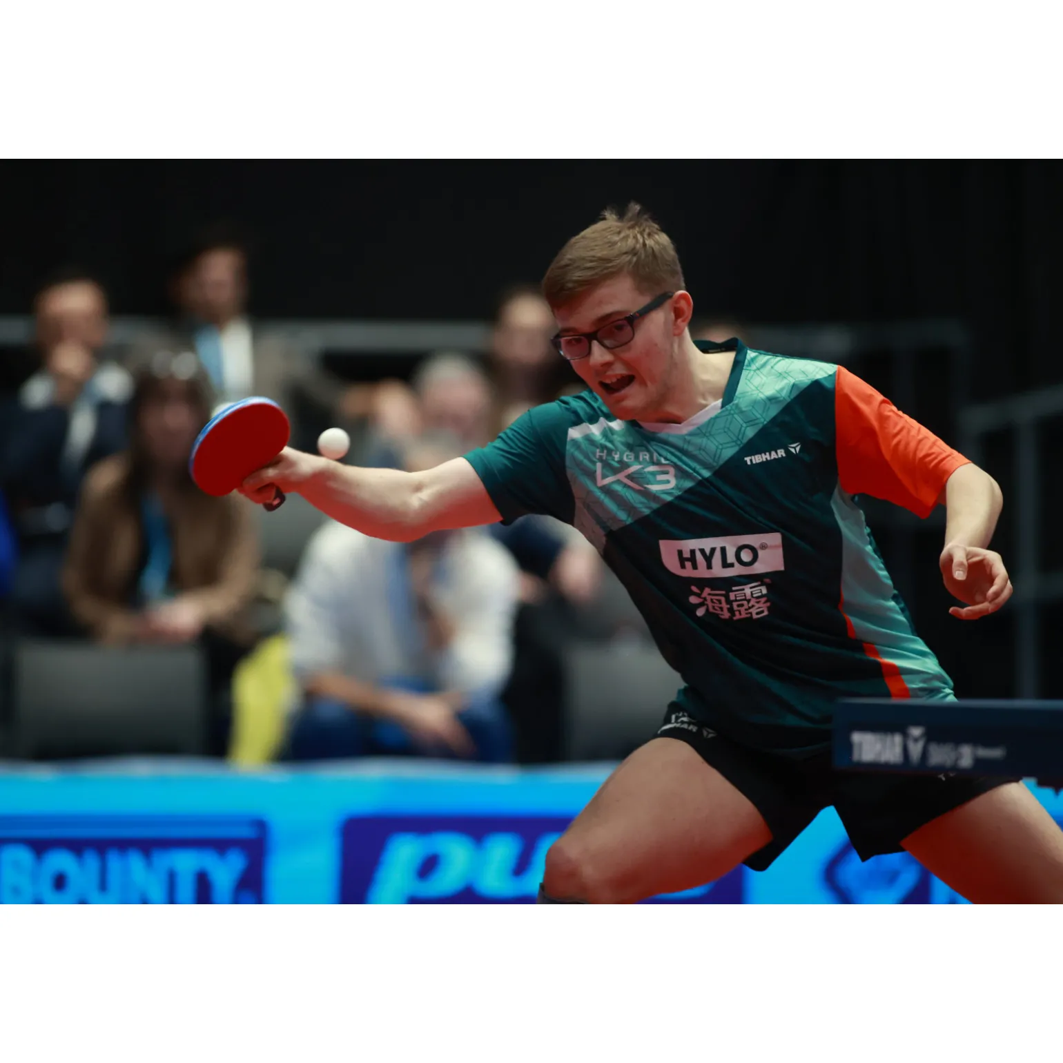 Tibhar Tischtennischläger Master Alexis Lebrun
