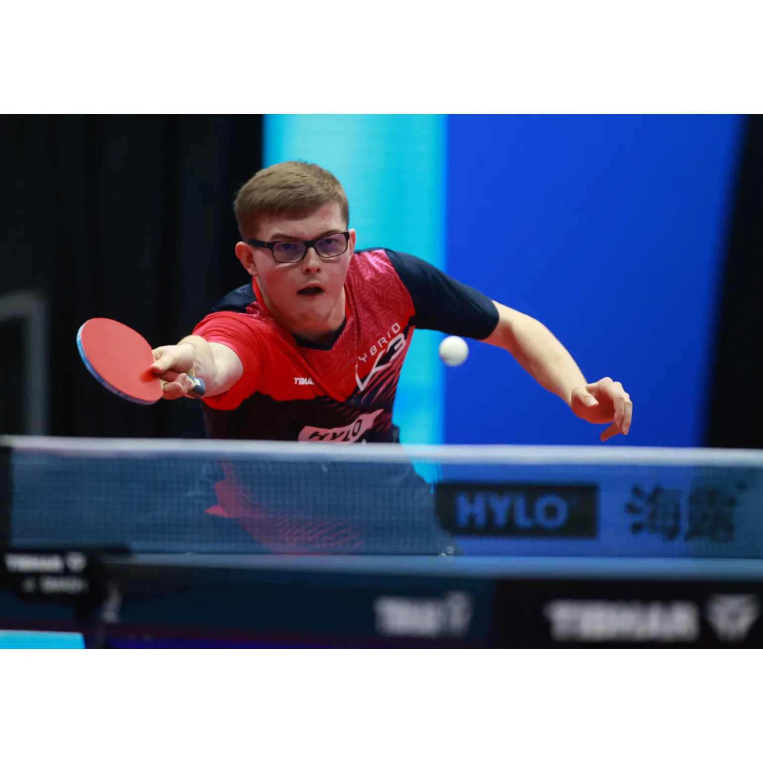 Tibhar Tischtennischläger Master Alexis Lebrun