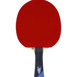 Tibhar Tischtennisschläger Master Felix Lebrun