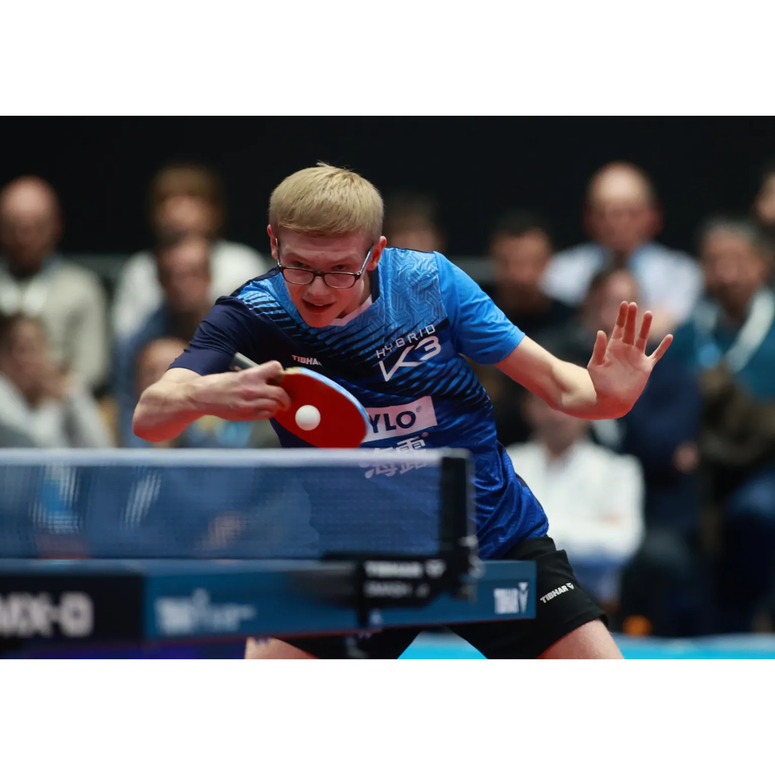 Tibhar Tischtennisschläger Master Felix Lebrun